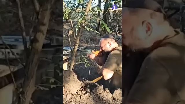 Мордехай Крысов // С 26 ияра - Днем Спасения и освобождения