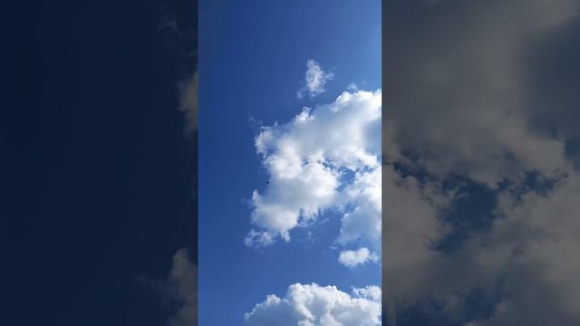 Молодёжь в небе #голуби