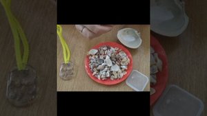 МБДОУ 10 г. Владивосток «Мастер класс магнит и брелок из ракушек»