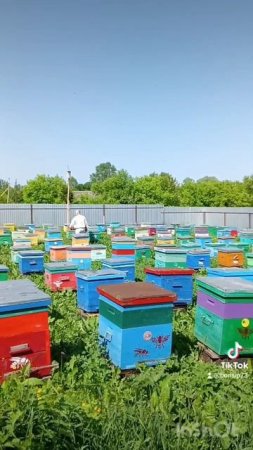 моё детище 🐝🐝🐝🐝🐝♥️♥️♥️♥️♥️