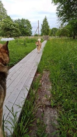 Обиделась, отвернулась..