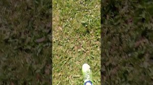 1000020513.mp4