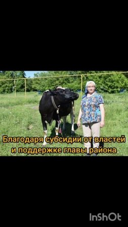 Жительница Багаева воспользовалась господдержкой