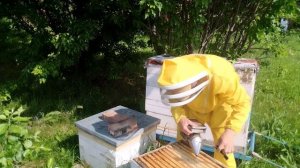 Плановые работы на пасеке. Проверка на засев, ставлю магазины. 24.06.25 г.