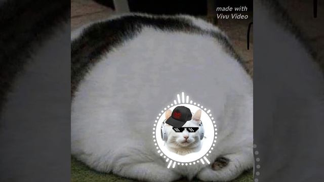 музыка pixel pig смотреть онлайн