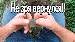 Не зря вернулся на это хабарное поле!