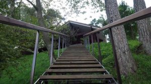 Старый Бор 3