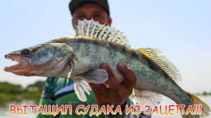 СУДАК стоит в зацепах! Как его оттуда выманить? ДЖИГ ловит 💪