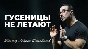 «Гусеницы не летают» Андрей Шаповалов .mp4