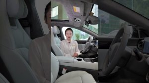 Инструкция Leapmotor C01