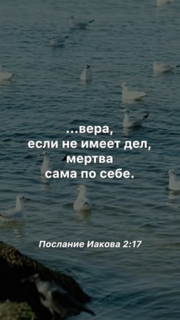 Вера без дел мертва #библия #вера #христианство