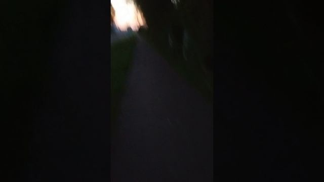 Идеальное сочетание: друзья, природа и теплое солнце-Cleaning shadow on street