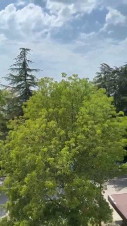 2-к кв Абхазия Сухум ул Кодорское шоссе 18 кв 25