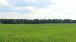 ТРУТОВИК - полезные свойства | Utility Fungi