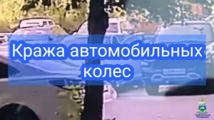 Задержали подозреваемого в краже колес #72регион #умвдтюмень #тюменскаяполиция #мвдроссии