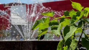 В Волжском на общественных пространствах работают фонтаны