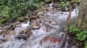 Зарисовка "Горный ручей".