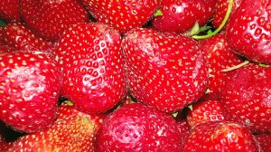 Свежая Клубника всю зиму I Клубника с сахаром на зиму.