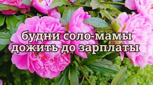 ОДНА С ДВУМЯ ДЕТЬМИ КАК ДОЖИТЬ ДО ЗАРПЛАТЫ
