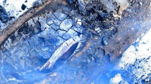 Огненная лесная посуда | Making a Burn Bowl