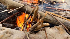 Дикая кухня - РЫБА В ГЛИНЕ | Steamed Fish In Clay