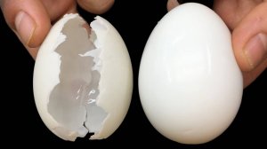 😱Не варите яйца прямо в воде! Вот способ варки яиц в пятизвездочном отеле