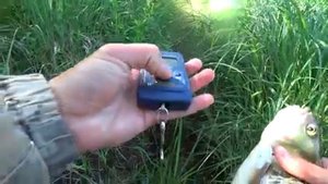 рыбалка на спиннинг