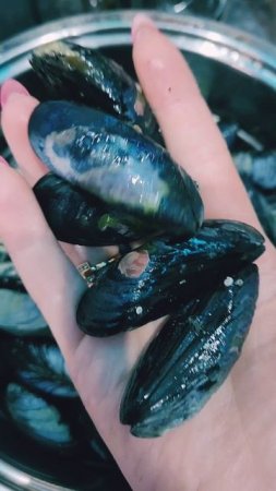 Супер морепродукты: морские ежики, мидии с жемчужинками! Магадан #nastikae #морскиеежики #мидии