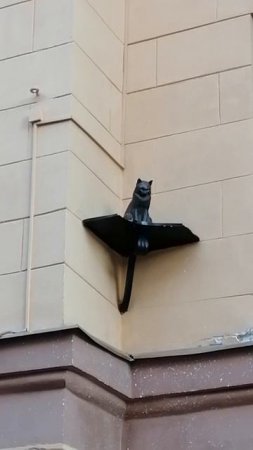 Кот Елисей. Малая Садовая, 8. Прогулки по Петербургу!!!