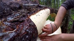 7 ПРОСТЫХ СОВЕТОВ ДЛЯ ЛЕСА | 7 BUSHCRAFT TIPS