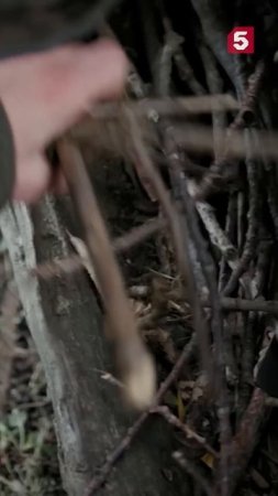 Почти трюфели #пятыйканал #юмор #приколы #фильмы #кино #сериал #детектив