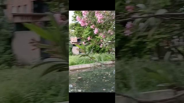 Абхазия Новый Афон прогулка по приморскому парку