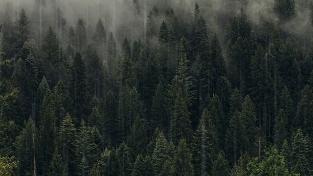 Отпусти | Медитативная музыка в стиле Эмбиент для расслабления, отдыха, концентрации
