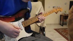 I play Ac Dc for the cat