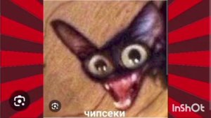 мемо выпуск