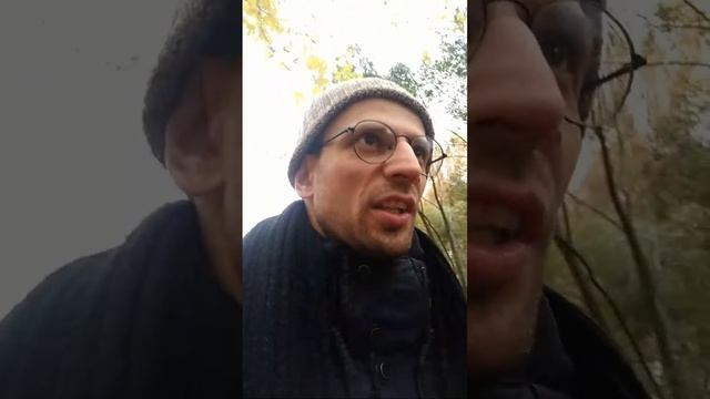 Осенняя прогулка с собакой по заказнику Алтуфьево, 28 октября. Натуровости смотреть онлайн