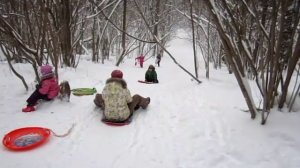 Передельцевский лес