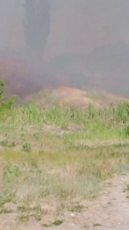 Посёлок Тир Волгоград Овраг Банный горит трава и мусор