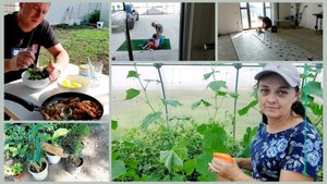 258 Переезд на юг 🌞 РЕМОНТ СВОИМИ РУКАМИ .СПАСАЕМ ОГОРОД ОТ ТЛИ. ПЕРВЫЙ УРОЖАЙ ОГУРЦОВ  ДОЖДЬ ГРАД