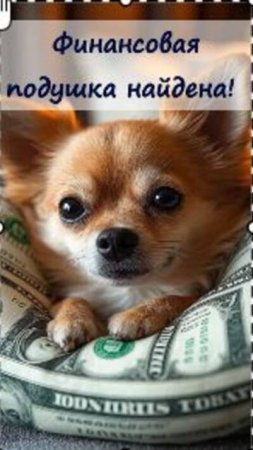 💸Моя финансовая подушка 📲 Telegram https://t.me/marina_pro_bizz #деньги #ПутьКУспеху #Фриланс