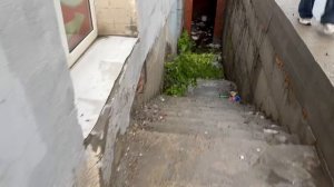 Все что нужно знать о благоустройстве Ульяновска.