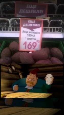 яйца слона