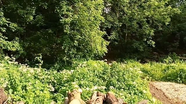 Пермь ул Льва Шатрова эко.тропа 🌍долина малых рек 🏞 новое городское производство