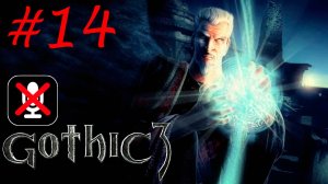 Gothic 3 #14 - Пшеница и Молоко для Кладовщика | Останови Воров Зерна
