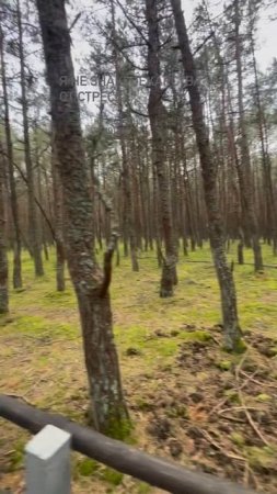 Напиши как восстанавливаешься ты? #горы #море #лес #реки #озера