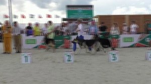 Демираль Ураган