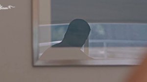 VID-20250615-WA0302