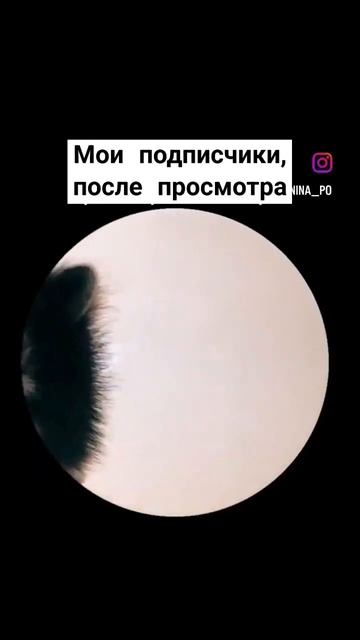 Всё для вас,мои дорогие ❤#развивашкидлямалышей #развивашки #раннееразвитие #играемсмамой смотреть онлайн