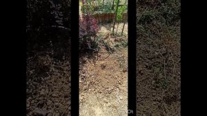 Прогулка по участку. Португалия.