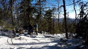 ПРИМИТИВНЫЙ ЛЕСНОЙ СТОЛ | Primitive Forest Table